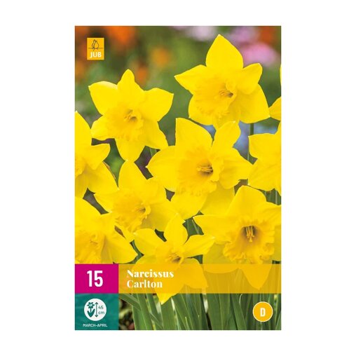 Narcissenbollen Carlton (XXL zak 15 stuks)